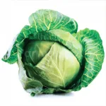 farmscart-cabbage-glory