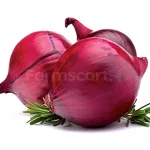 farmscart-onion-econ53