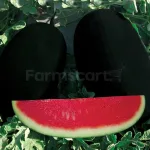 farmscart-watermelon-ecomaxicebox