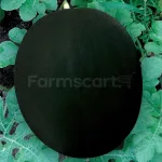 farmscart-watermelon-greenball