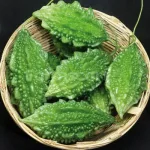 farmscart-bittergourd-uchwabolder